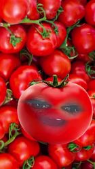 Preview for a Spotlight video that uses the Red Tomato Face Lens