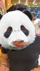 Preview for a Spotlight video that uses the Panda Face Lens