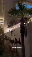 Join نــويـره ارتسـت 💄 for a vibrant journey through her day, starting with a coffee from 'LOCAL NEIGHBORHOOD CAFE' and transitioning into a world of fashion. The video showcases a colorful array of textiles, intricate traditional clothing, and the personal experience of getting custom measurements taken. It's a glimpse into the creative process behind unique style. by @nowaira-11 with 🌴🌴🌴🌴 by ar playlist