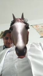 Preview for a Spotlight video that uses the Horse head Lens