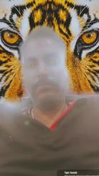 Preview for a Spotlight video that uses the Tiger on Background Lens