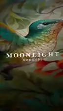 Video by @moonlight_q6r with Original Sound by moonlight_q6r