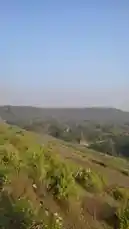 Video by @amohammad_97 with amohammad_97 by Original Sound