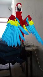 Preview for a Spotlight video that uses the Macaw Parrot Lens