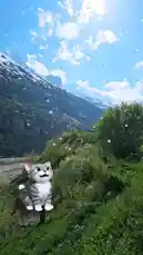 Follow the whimsical journey of a gray tabby cat as it explores breathtaking mountain landscapes. From lush green valleys to snow-capped peaks under a bright blue sky, the cat's playful expressions and animated movements bring the serene scenery to life. This delightful and easygoing adventure captures the pure joy of nature. by @vipularora05 with original sound