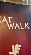 A vibrant night out at 'Cat Walk,' featuring a tropical theme and a Don Julio tequila sponsorship. The scene opens with promotional signage before moving through a festive, leafy archway into a packed club filled with dancing guests under colorful lights. by @managergxcci with Original Sound by managergxcci