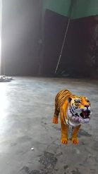 Preview for a Spotlight video that uses the tiger howl Lens
