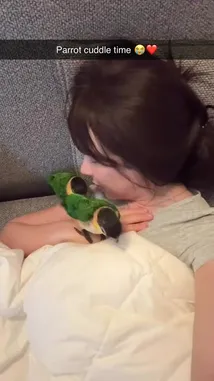 Luna Lovekiss (@lunalovekiss22) | Snapchat Stories, Spotlight & Lenses