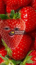 Preview for a Spotlight video that uses the single strawberry Lens