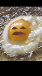 Preview for a Spotlight video that uses the Fried Egg Lens