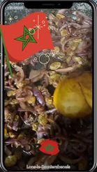 Preview for a Spotlight video that uses the morocco day Lens