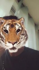 Preview for a Spotlight video that uses the Tiger Head Lens