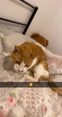 Video by @quentin.brw with Snapchatter by Original Sound