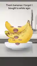 A humorous social media trend where users apply a face filter to bananas, making them appear to have eyes and mouths. The video shows a bunch of overripe bananas sitting in a white bowl, with animated facial features superimposed on them. A person briefly enters the frame, seemingly reacting to the prank. This playful content taps into popular internet humor and meme culture. by @christamic3 with Original Sound by christamic3
