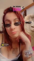 Preview for a Spotlight video that uses the Llama Drama Lens