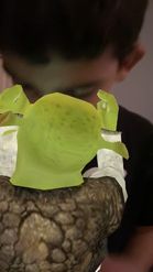 Preview for a Spotlight video that uses the Shrek Kiss Filter Lens