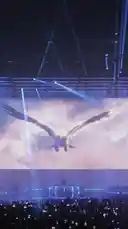 Experience the electrifying atmosphere of a Tiesto live concert. Witness the massive crowd, the dazzling blue laser lights crisscrossing the arena, and the mesmerizing holographic bird soaring above the stage. This high-energy performance captures the essence of a modern EDM spectacle. by @tiesto with Original Sound by tiesto