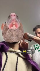 Preview for a Spotlight video that uses the Rat Head Lens