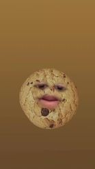 Preview for a Spotlight video that uses the cookies face Lens