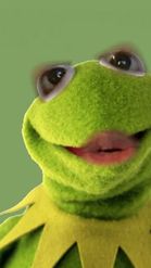 Preview for a Spotlight video that uses the Kermit the Frog Lens