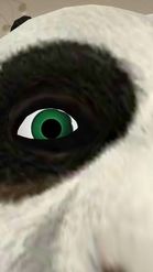 Preview for a Spotlight video that uses the KUNG FU PANDA Lens