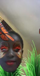 Preview for a Spotlight video that uses the Butterfly Summers Lens