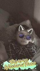 Preview for a Spotlight video that uses the Wolf in Glasses Lens