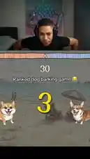 In this intense gaming session, streamer Jayify takes on the 'Ranked dog barking game' challenge. He battles against a massive golden retriever opponent in a series of animated arenas, including a beach and a Japanese shrine. The gameplay is fast-paced and competitive, with Jayify reacting in real-time as his Shiba Inu character faces off against increasingly powerful foes. Watch as he strategizes, shouts encouragement, and experiences the thrill of victory and defeat in this hilarious and engaging mobile game. by @jayify5 with Original Sound by jayify5