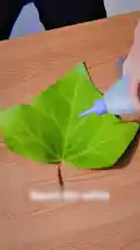 Watch this step-by-step tutorial on creating a spooky ghost decoration using white glue, black paper, and a leaf. Learn how to make it transparent and self-adhesive so it can be easily applied to glass surfaces like windows. by @bilil01 with Original Sound by bilil01
