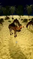 جندي مختبئ داخل جمل 🐫 by @bilil01 with Original Sound by bilil01