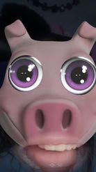 Preview for a Spotlight video that uses the CUTEST-PORKER Lens