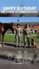 In a heartfelt tribute, members of the British Army's Defence Animal Training Regiment and Royal Army Veterinary Corps honor Sir David Attenborough on his birthday. The scene features two soldiers in full uniform standing proudly with a brown horse and a golden retriever dog, all set against the backdrop of a traditional brick military barracks under a clear blue sky. A celebratory graphic with a cake and paw prints reinforces the festive occasion. by @britisharmyhq with Original Sound by britisharmyhq