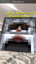 Preview for a Spotlight video that uses the What MC block am I Lens