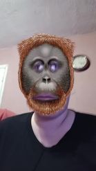 Preview for a Spotlight video that uses the Monkey mask Lens