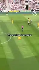 Witness a stunning team goal from Brighton & Hove Albion against Newcastle United in the Premier League. The build-up showcases intricate passing before Jack Hinshelwood finishes clinically past goalkeeper Nick Pope. This highlight captures a moment of pure attacking football. by @premierleague with Original Sound by premierleague