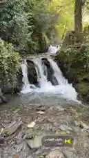 Experience the tranquility of nature with this captivating view of a multi-tiered waterfall cascading through a lush, moss-covered forest. The clear stream flows over smooth rocks, creating a peaceful ambiance perfect for relaxation and meditation. by @yothaim with نايف الجاسر by نايف
