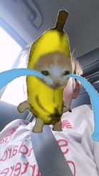 Preview for a Spotlight video that uses the Crying banana cat Lens