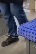 A pigeon makes a sudden dash for freedom as a train door opens, capturing a moment of unexpected wildlife action during a routine commute. by @uk-gos with Original Sound by uk-gos
