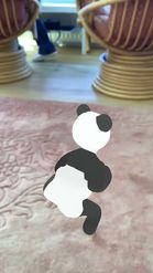 Preview for a Spotlight video that uses the Twerking Panda Lens