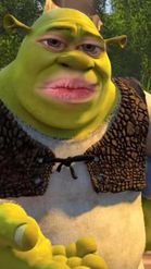 Preview for a Spotlight video that uses the be shrek Lens