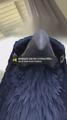 Preview for a Spotlight video that uses the Crow Head Lens