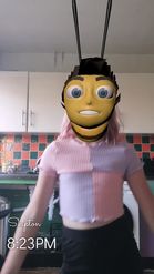 Preview for a Spotlight video that uses the Barry Bee Benson Lens