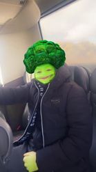 Preview for a Spotlight video that uses the Broccoli Hair Lens