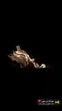 A mesmerizing close-up shot captures flickering flames dancing within a fire pit against a pitch-black night sky. The warm glow creates a serene and intimate atmosphere. In the bottom right corner, Arabic text reads 'الله يَنْ عُون' (Allah Yanoon), translating to 'May Allah help us,' accompanied by a heart emoji and a prayer bell icon, suggesting a moment of reflection or spiritual calm. by @tr3i5 with عبدالله بَن عون ❤️ by طاب الجلوس بجانب النار .