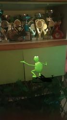 Preview for a Spotlight video that uses the Belly Dance Kermit Lens