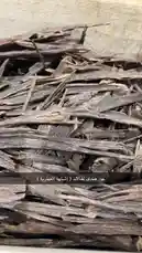 This close-up guide demonstrates the process of preparing and burning high-quality agarwood chips. It begins with a display of raw, dark agarwood pieces, followed by a hand selecting a piece and placing it into a traditional incense burner with hot coals. The video captures the moment the wood is ignited, producing fragrant smoke, showcasing the essential oil extraction method. by @nawader.aloud44 with nawader.aloud44 by Original Sound