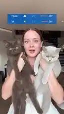 In this heartwarming video, cat mom Iman Sophie Koloff shares her top tips for keeping her two adorable kittens cool during a sweltering 36°C heatwave. She demonstrates how she made them a refreshing lick ice from their favorite treat, set up a DIY cardboard shade cave with a cooling towel, and built a pop-up mesh house on her balcony so they can enjoy the fresh air safely. Watch as the kittens explore their new summer haven and finally relax on a cooling mat, proving that even in extreme heat, a little love and creativity can make all the difference for your furry family. by @imsemdiary with Original Sound by imsemdiary