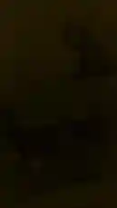 This video takes you through a vibrant day at Joy Destination Child Care Center. From festive holiday decorations and playful learning activities like building blocks and climbing walls, to joyful moments in the ball pit and creative time with puzzles, see how our center fosters fun and development. The video concludes with information about our 'Christmas and New Year' program, offering children a memorable celebration. by @joy_destination with joy_destination by Original Sound