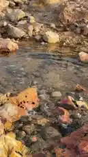 This serene video captures a gentle stream meandering through a rocky landscape under a clear sky. The camera pans slowly, revealing the natural beauty of the water reflecting the surroundings and the rugged terrain along its banks. The peaceful ambiance makes it ideal for relaxation, meditation, or appreciating untouched nature. by @azozi.5562 with Original Sound by azozi.5562
