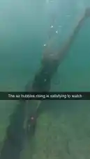 Shanny 🐳 (@umshanny) | Snapchat Stories, Spotlight & Lenses